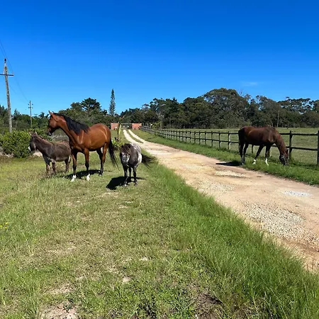 Stoneridge Farm Vila Plettenberg Bay Exterior foto