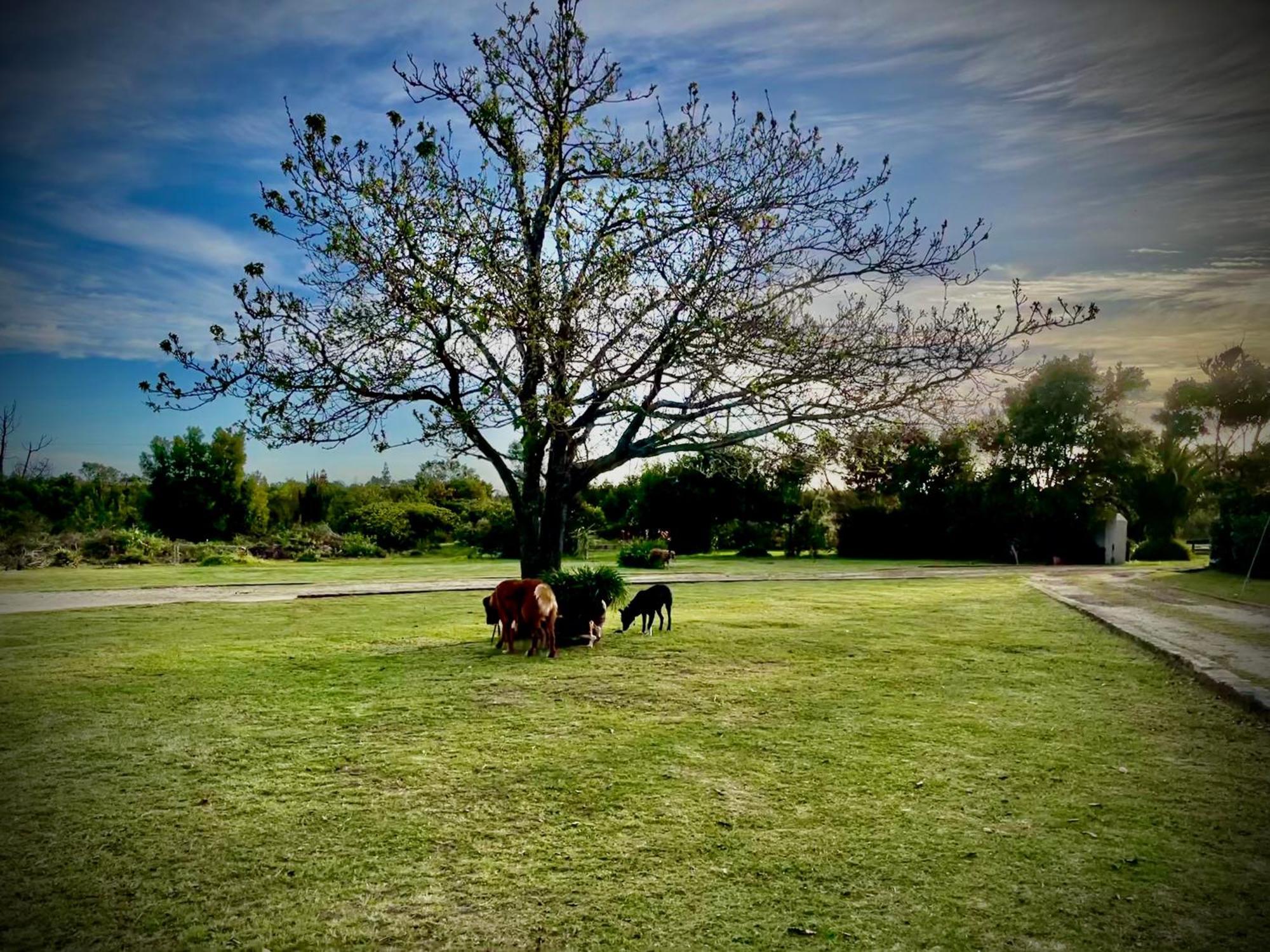 Stoneridge Farm