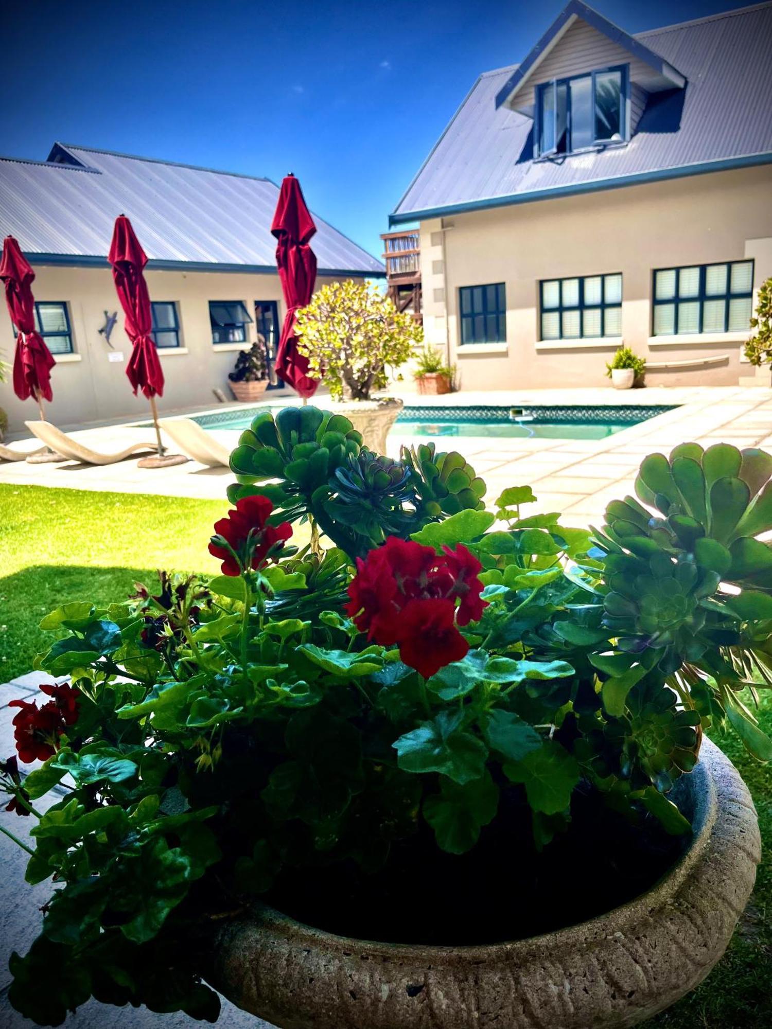 Stoneridge Farm * Plettenberg Bay