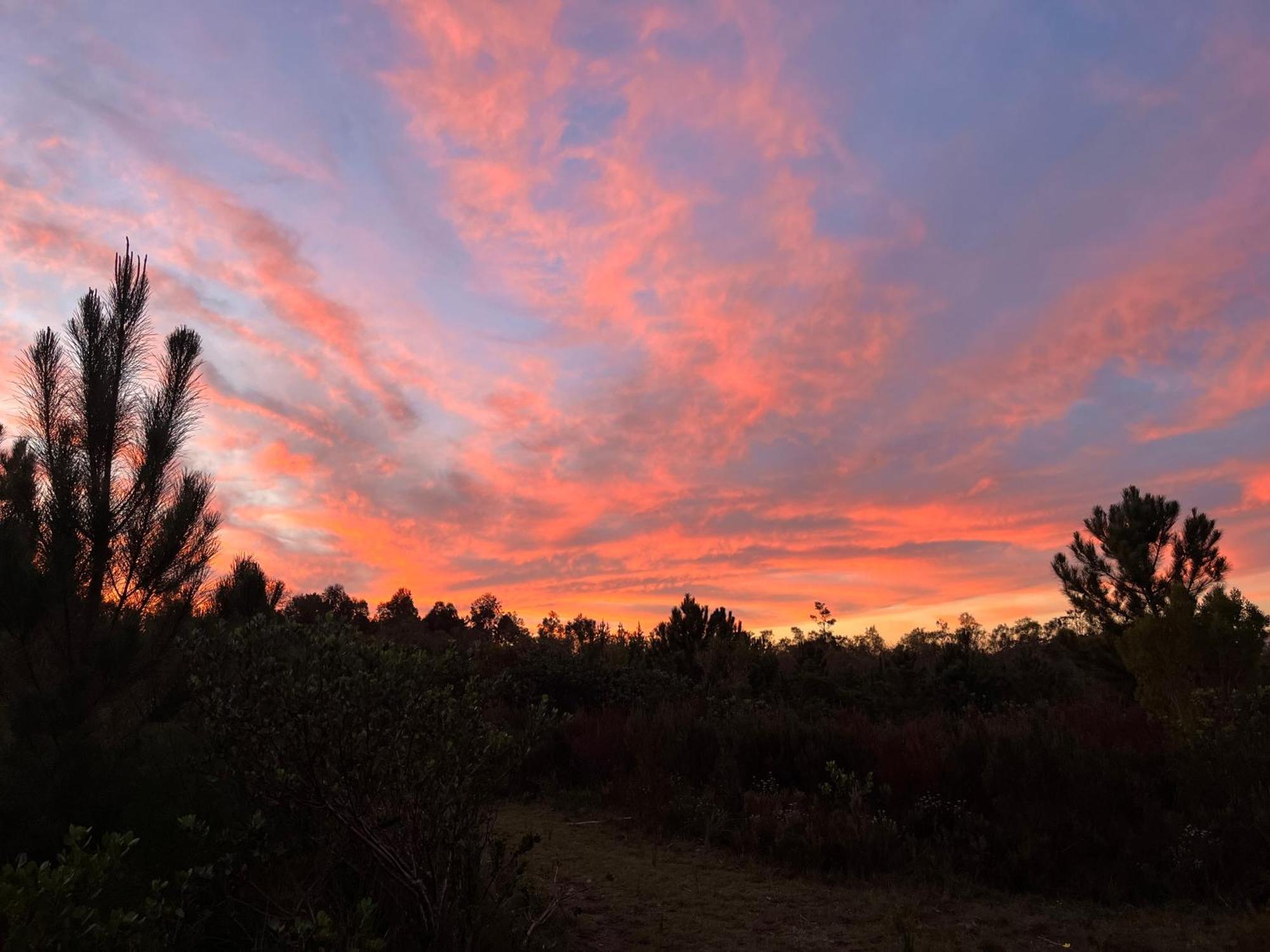 Stoneridge Farm * Plettenberg Bay