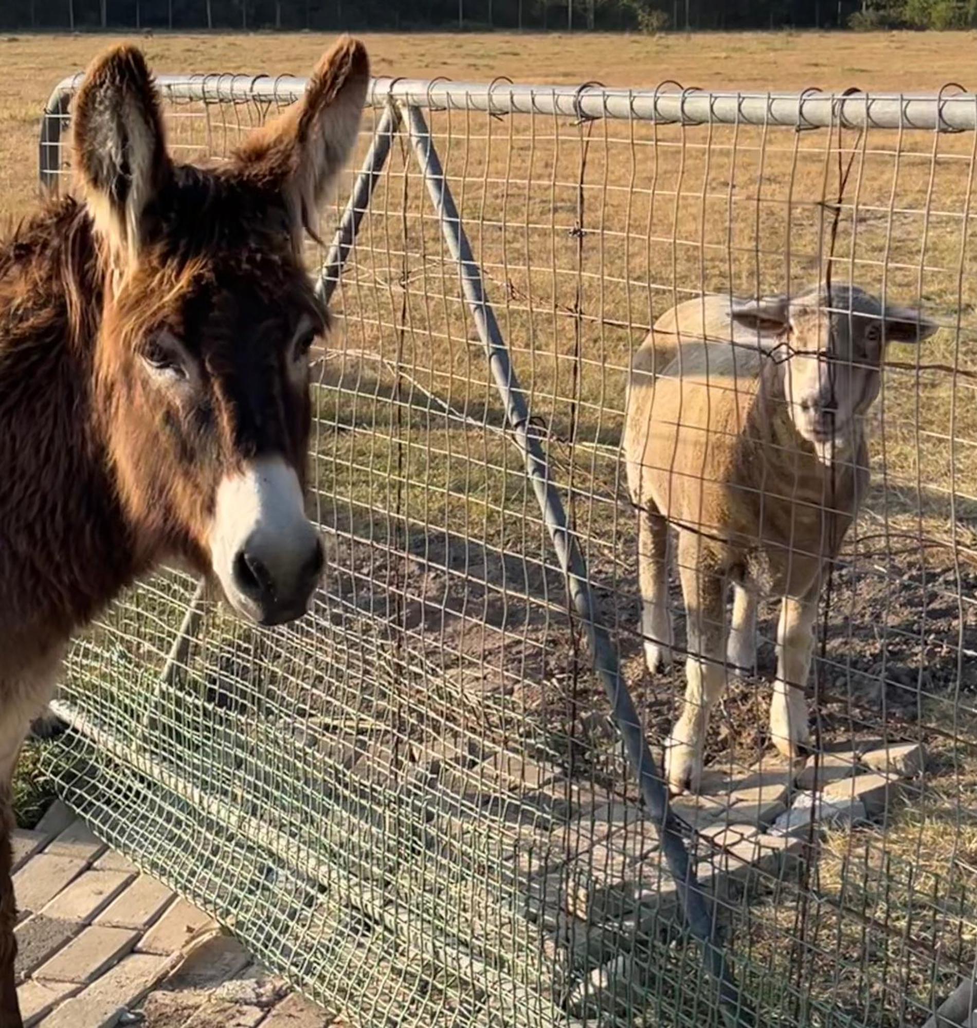 Stoneridge Farm Plettenbergbaai